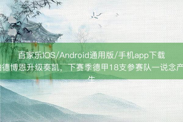 百家乐IOS/Android通用版/手机app下载 帕德博恩升级奏凯，下赛季德甲18支参赛队一说念产生