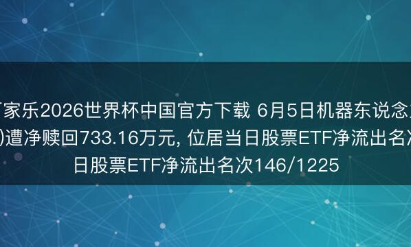 百家乐2026世界杯中国官方下载 6月5日机器东说念主YH(562360)遭净赎回733.16万元， 位居当日股票ETF净流出名次146/1225