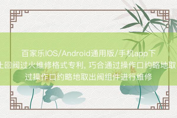 百家乐IOS/Android通用版/手机app下载 中国石油苦求止回阀过火维修格式专利， 巧合通过操作口约略地取出阀组件进行维修