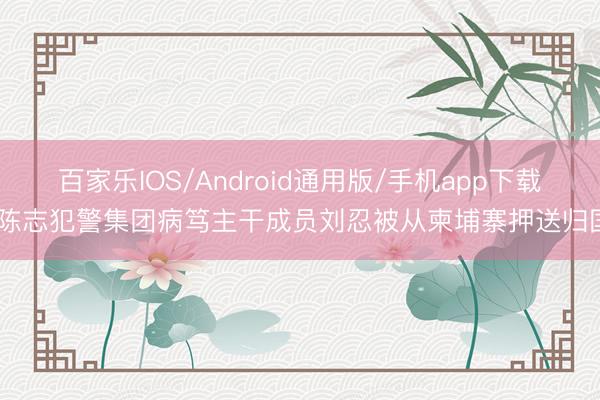 百家乐IOS/Android通用版/手机app下载 陈志犯警集团病笃主干成员刘忍被从柬埔寨押送归国