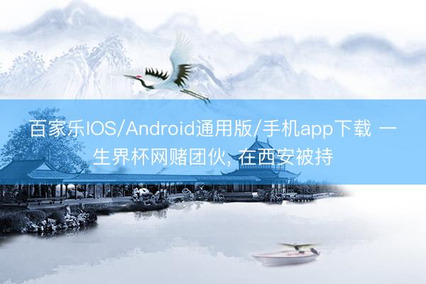 百家乐IOS/Android通用版/手机app下载 一生界杯网赌团伙， 在西安被持